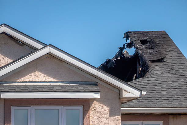 Top rated local Fire Damage Repair specialists in Hyattsville, MD
